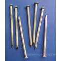 HOT SALE common nails/common iron nail/common wire nail